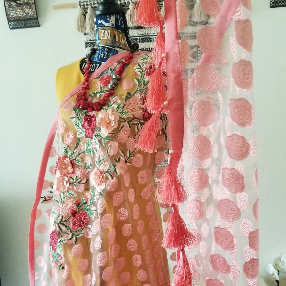 Saree, net, fancy, pink,  unique, sheer with polka dots embroidered all over. - Picture 5 of 8